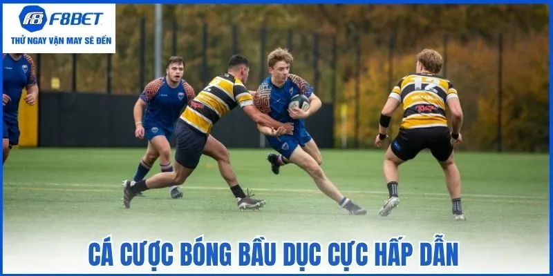 Cá cược bóng bầu dục cực hấp dẫn