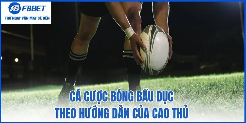 Cá cược bóng bầu dục theo hướng dẫn của cao thủ