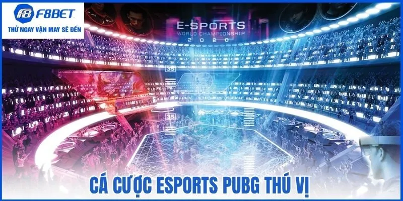 Cá cược eSports PUBG thú vị