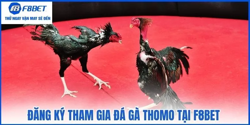 Đăng ký tham gia đá gà Thomo tại F8bet