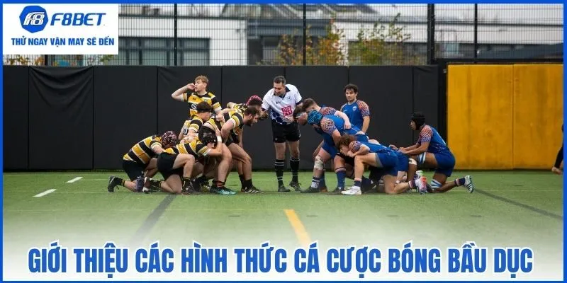 Giới thiệu các hình thức cá cược bóng bầu dục