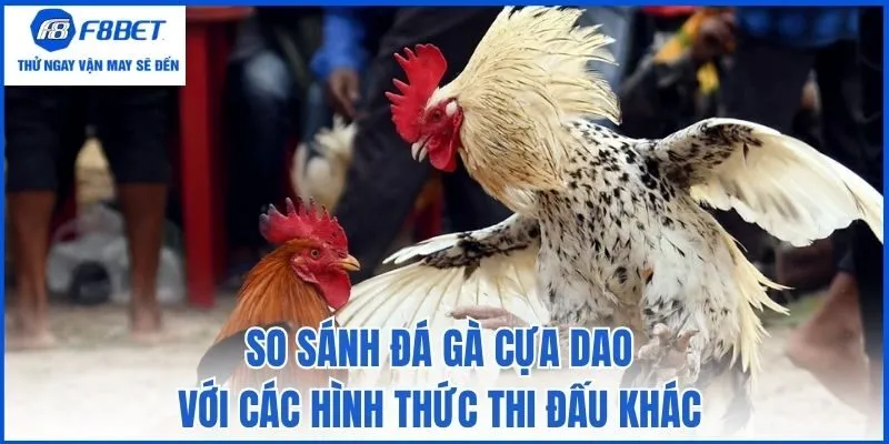So sánh đá gà cựa dao với các hình thức thi đấu khác