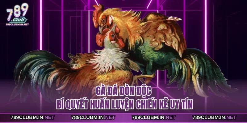 ga-da-don-doc-bi-quyet-huan-luyen-chien-ke-uy-tin