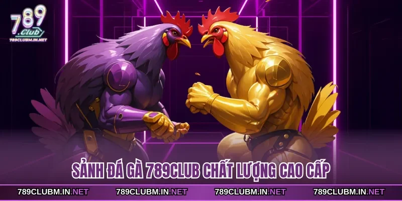 sanh-da-ga-789club-chat-luong-cao-cap